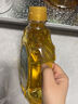 海天（Haitian）玉米胚芽油非转基因食用油压榨植物油小瓶烘焙油O添加大桶炒菜油 500ml一级压榨玉米油 实拍图