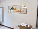 诗六艺家饰客厅装饰画北欧现代简约沙发背景墙挂画三联画大气轻奢壁画晶瓷画 福禄生财（铝合金外框） 晶瓷画左右40*60+中间80*60亮面 实拍图