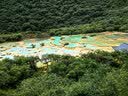 四川旅游【九寨沟+黄龙+熊猫乐园或都江堰】品质纯玩3日游/包含行程门票+用餐/金牌导游服务 4钻酒店住宿+升级2+1保姆车 成人 实拍图