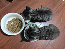 美士（Nutro）全护营养系列幼猫猫粮鸡肉配方5磅2.27kg 实拍图