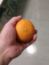 玖原农珍 赣南脐橙现摘新鲜榨汁水果橙子 冰糖甜橙非褚健橙 橙子5斤普箱大果（70-80mm） 实拍图