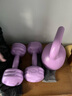 朗威壶铃哑铃女士健身家用器材男士竞技浸塑亚玲球提壶哑铃5-20磅健身 4.5kg =紫10磅+紫色女哑铃2kg一对 实拍图