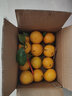 青舞正宗广东德庆皇帝柑贡柑新鲜水果精选大果非沃橙橘桔子装孕妇水果 5斤礼盒装精选大果 实拍图