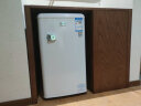 志高（CHIGO）复古冰箱小型大容量家用租房电冰箱 化妆品网红冰箱冷藏冷冻一级能效小冰箱BC-50A68D云漫白 晒单实拍图