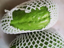 蔬果哆 新鲜蔬菜 云南特产 佛手瓜 嫩瓜 捧瓜窝瓜 2.5kg(一箱五斤) 实拍图