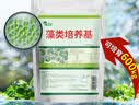 南华千牧 小球藻藻种绿藻藻种鱼塘虾蟹塘增氧肥水培藻水产养殖开口饵料 藻类培养基/600g/袋 水产养殖肥水 实拍图
