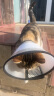 欢宠网 伊丽莎白圈耻辱圈大号狗狗项圈猫项圈宠物狗脖套猫头套防咬圈狗用品4号15斤以下宠物 实拍图