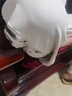 诺梵婕休闲裤男夏季新款痞帅宽松垂感直筒裤子潮牌百搭阔腿运动长裤 杏色（推荐） XL （建议125-150斤） 实拍图