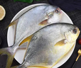翔泰海南深海金鲳鱼700g 2条 烧烤 火锅 生鲜鱼类 BAP认证 海鲜水产 实拍图