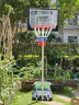 双航 篮球架 室内家用篮球框球架 户外可升降可移动标准高度篮球架 0272青少年款(篮筐1.4-2.6米) 实拍图