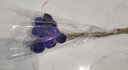 干花花束植物干花真花永生花勿忘我干花多色草莓果干花办公室客厅茶几餐桌摆放装饰艺术插花小花束 紫色草莓果12支（不含花瓶） 实拍图