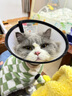 玫斯猫粮（metz）幼猫/成猫猫粮猫全猫粮增肥奶糕英短美短全价美毛 升级款成猫（6.8KG） 实拍图