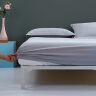 百丽丝水星家纺出品床笠防滑床罩 学生宿舍床罩子 隔脏薄款床垫子享睡 实拍图