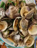 鲜活蛤蜊海捕无沙超大特大花蛤文蛤非黄蚬子花甲贝类海鲜美贝包活 鲜活5斤（3斤送2斤） 0千克(净重) 实拍图