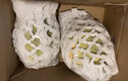 【顺丰】新疆吐鲁番哈密瓜 火焰山甜瓜 新鲜水果送礼特产 【6-7斤】约2个 实拍图