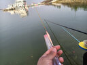小凤仙芦苇浮漂秋冬钓轻口高灵敏鲫鱼漂加粗醒目鲤草混养浮漂黑坑竞技 H-LY黑坑加粗 吃铅约1.67-2.34g 1号漂/支 实拍图