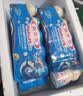养乐多活性乳酸菌乳100ml瓶经典原味营养益生菌酸奶饮品冷藏新鲜日期 【品尝】原味100ml*10瓶 实拍图