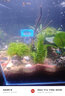 森森（SUNSUN）森森水族温度计养鱼水温计热带鱼电子测温计鱼缸高精度潜水温度计 蓝色内置温度计（无线） 实拍图