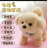 快乐音符儿童电动毛绒玩具狗狗走路会叫仿真小狗会走会翻滚跳舞电子机器狗 金毛 电池版+翻滚【会叫+点头】 实拍图
