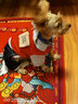 喵先生 宠物狗狗衣服小型犬泰迪衣服冬季狗衣服小狗幼犬衣服四脚棉 红色格子四脚裤S码 建议3-5斤内 实拍图