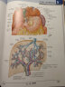 奈特人体解剖学彩色图谱 第八版 第8版 人民卫生出版社旗舰店翻译新版临床医学外科学教材书局部系统解刨学书籍19全身正常医学实用动态局解全彩图谱2023 实拍图