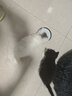 宠洁优（CHONGJIEYOU）除尿味max酵素除臭混合猫砂结团净尘不沾底遇水释香豆腐砂5斤 【除尿味MAX】混合猫砂4包 实拍图