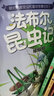 法布尔昆虫记盒装彩图注音版全套10册 3-6岁幼儿童睡前故事绘本 少儿昆虫科普百科全书 实拍图