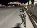 迪卡侬自行车SPEED500城市自行车通勤平把公路自行车 绿卡其S-4306428 晒单实拍图