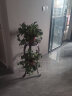 火月亮 欧式花架铁艺多层阳台花架子室内绿萝花盆架子吊兰多功能地面 咖啡色(80CM) 实拍图