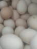 跑山密水农家新鲜土鸡蛋 粮食喂养月子鲜柴鸡蛋 山林散养儿童餐食材 柴鸡蛋60枚 实拍图