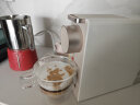 心想（SCISHARE） 咖啡机mini小型意式家用全自动胶囊机可搭配奶泡机兼容Nespresso胶囊新年好礼 柔雾金+80粒胶囊 实拍图