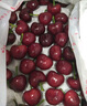 京地达大连美早樱桃国产车厘子5J级水果年货礼1.8斤新鲜送礼源头直发 实拍图