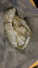 永和豆浆经典AD高钙豆奶粉1020g 共34小包含多种维生素 高蛋白 即食早餐 实拍图