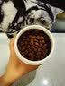 中鲨宠物胶原蛋白卵磷脂猫犬通用美毛养护毛发护肤狗狗猫咪保健营养品 胶原蛋白卵磷脂 280G1罐 实拍图