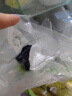 京鲜生 夏黑无籽葡萄 蓝莓葡萄 2斤装 生鲜水果 酸甜口感易掉粒 实拍图