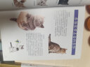 猫咪轻图鉴+世界名犬轻图鉴套装（全2册） 实拍图