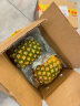 都乐Dole 菲律宾无冠金菠萝凤梨 中果2个装 单果重800g起 生鲜水果 实拍图