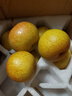 辰实【顺丰】花盖梨 新鲜东北软梨 水果特产可做冻梨 5斤（大果）约20个 实拍图