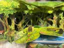 【官方正品】好好玩神奇的生命立体书第二辑（套装共4册）儿童科普启蒙读物玩具书幼儿百科3d立体绘本童书   实拍图