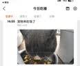 诚实一口ProBS英国短毛猫全价猫粮 幼猫成猫英短专研冻干双拼无谷10.8kg 实拍图