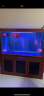森森（SUNSUN）鱼缸潜水灯变色LED灯七彩照明水族箱造景灯龙鱼防水灯管 130cm双排灯红色22W（带独立开关） 实拍图