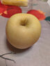 君恬果园皇金山东烟台苹果黄金维纳斯水果礼盒纯甜香脆生鲜新鲜水果 鉴赏级皇金15颗装 实拍图