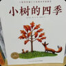 点读版 小树的四季 海豚绘本花园硬壳精装 儿童绘本3-6岁0-2岁经典故事4-6岁幼儿园推荐童书故事书 支持老版小猴皮皮点读笔 实拍图