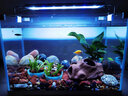 森森（SUNSUN）鱼缸水族箱超白玻璃水草缸造景桌面缸 超白350裸缸(35*21*25cm) 实拍图