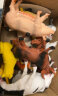 勾勾手 儿童农场动物 仿真模型男女孩玩具早教玩具12只农场动物彩盒装 实拍图