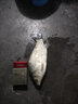 方天画戟矶钓竿滑漂杆矶竿碳素超轻超硬手海两用抛竿钓鱼竿渔具路滑矶杆 白色款（升级版）带地插 5.4米+全金属3000型渔轮带礼包 实拍图