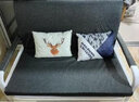 适丰 折叠沙发床两用多功能单人沙发客厅小户型折叠床懒人沙发椅简易 1.8*1.9米【乳胶款】【2个抱枕】 【无储物】 实拍图