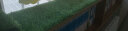 夺秀 仿真草坪地毯塑料假草皮 人造草坪阳台户外人工草坪幼儿园假草坪 【不掉渣】20MM春草/平方 每平方尺寸（2米*0.5米） 实拍图
