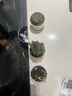 绿荫巷子多肉植物组合套餐肉肉室内植物办公室电脑桌面盆栽好养活小盆栽 【吸财树】精养多瓣 含瓷盆+托 实拍图