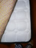香榭柏兰 椰棕床垫棕垫硬棕榈床垫子 天然乳胶榻榻米床垫定做定制 20CM厚（防螨面料+15CM椰棕+2CM乳胶） 1米*1.9米 实拍图